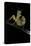 Creobroter Gemmatus (Jeweled Flower Mantis)-Paul Starosta-Premier Image Canvas