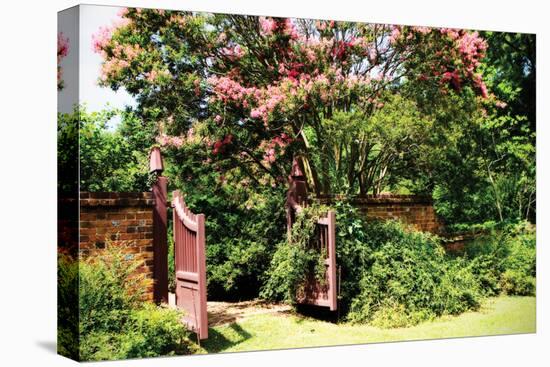 Crepe Myrtle I-Alan Hausenflock-Premier Image Canvas