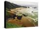 Crescent Beach from Ecola State Park, Oregon, USA-Michel Hersen-Premier Image Canvas