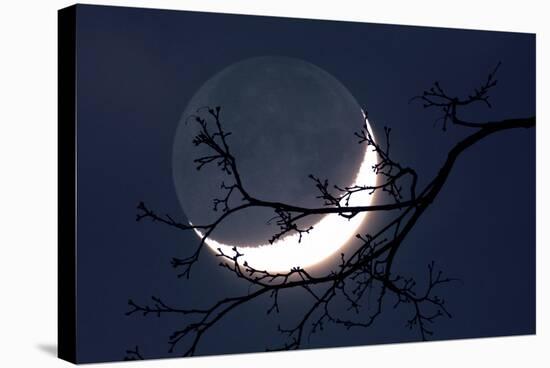 Crescent Moon with Earthshine-Detlev Van Ravenswaay-Premier Image Canvas