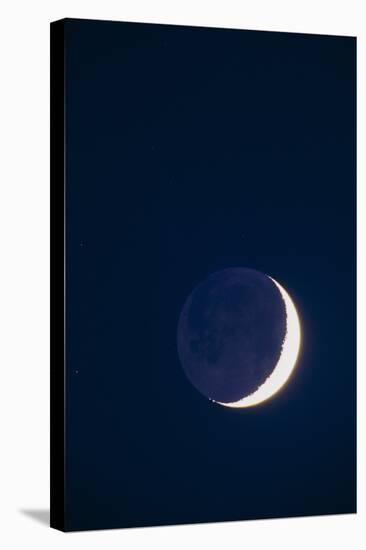 Crescent Moon-David Nunuk-Premier Image Canvas