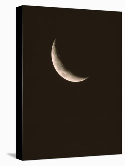 Crescent Moon-David Nunuk-Premier Image Canvas