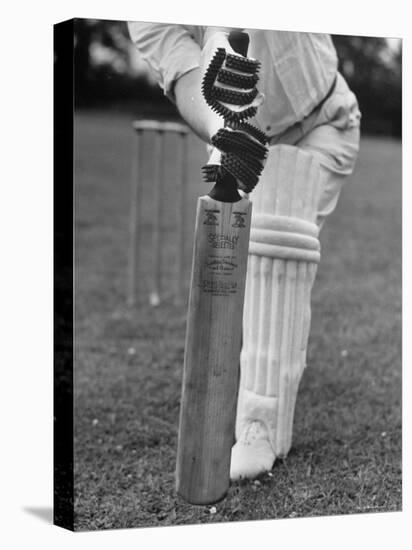 Cricket Bat-William Sumits-Premier Image Canvas