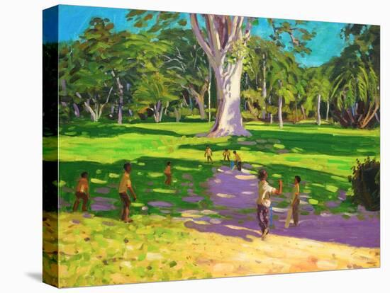 Cricket Match, St George, Granada, 2011-Andrew Macara-Premier Image Canvas