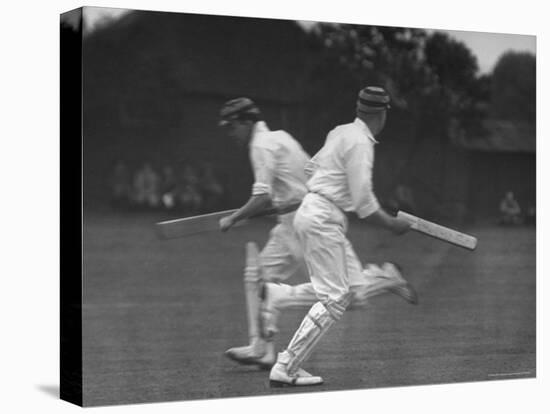 Cricket Match-Frank Scherschel-Premier Image Canvas