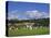 Cricket on Village Green, Surrey, England-Jon Arnold-Premier Image Canvas