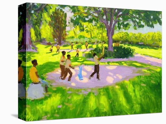 Cricket Practice, Botanical Gardens, Dominica, Grenadines, West Indies-Andrew Macara-Premier Image Canvas