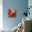 Crimson Fleurish I-Lanie Loreth-Stretched Canvas displayed on a wall