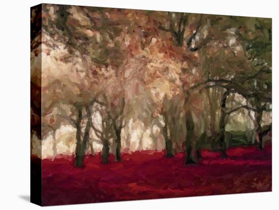 Crimson Forest Floor A2-Taylor Greene-Stretched Canvas