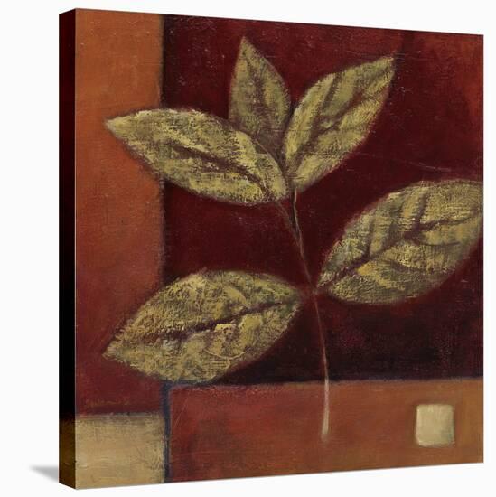 Crimson Leaf Study II-Ursula Salemink-Roos-Stretched Canvas