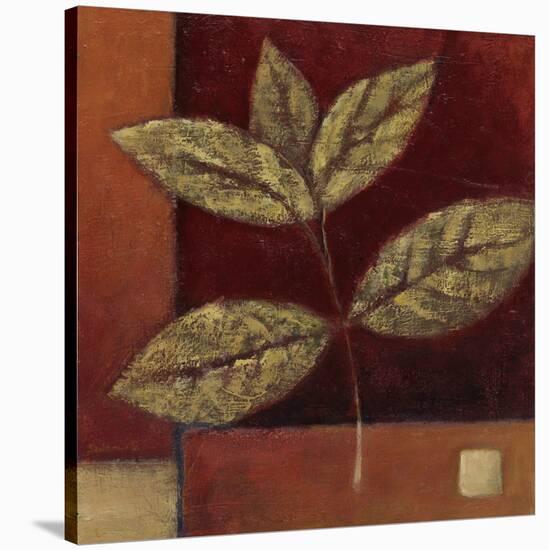 Crimson Leaf Study II-Ursula Salemink-Roos-Stretched Canvas