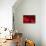 Crimson Petals I-Rita Crane-Premier Image Canvas displayed on a wall