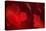 Crimson Petals I-Rita Crane-Premier Image Canvas