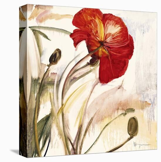 Crimson Poppy 1-Marysia-Premier Image Canvas