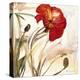 Crimson Poppy 1-Marysia-Premier Image Canvas