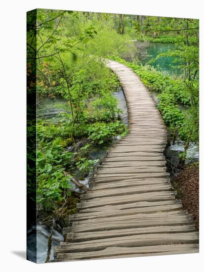 Croatia, Boardwalk in Plitvice Lakes National Park.-Julie Eggers-Premier Image Canvas