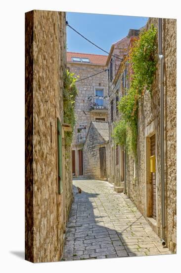 Croatia, Stari Grad. Cat in town street.-Jaynes Gallery-Premier Image Canvas