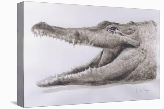 Crocodile, 2005-Lincoln Seligman-Premier Image Canvas