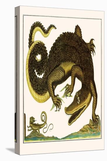 Crocodile and Lizard-Albertus Seba-Stretched Canvas