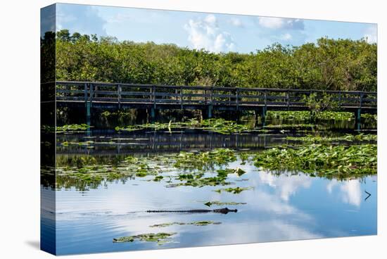 Crocodile - Everglades National Park - Unesco World Heritage Site - Florida - USA-Philippe Hugonnard-Premier Image Canvas