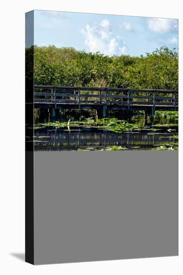 Crocodile - Everglades National Park - Unesco World Heritage Site - Florida - USA-Philippe Hugonnard-Premier Image Canvas