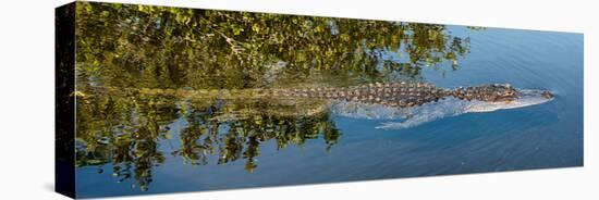 Crocodile - Everglades National Park - Unesco World Heritage Site - Florida - USA-Philippe Hugonnard-Premier Image Canvas