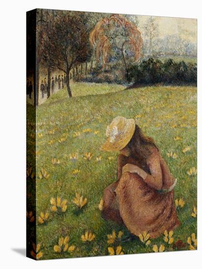 Crocuses; Les Crocus, 1891 (Oil on Canvas)-Lucien Pissarro-Premier Image Canvas