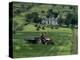 Croft with Hay Cocks and Tractor, Glengesh, County Donegal, Eire (Republic of Ireland)-Duncan Maxwell-Premier Image Canvas