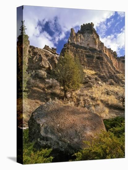 Crooked River Petroglyph-Steve Terrill-Premier Image Canvas