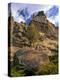 Crooked River Petroglyph-Steve Terrill-Premier Image Canvas