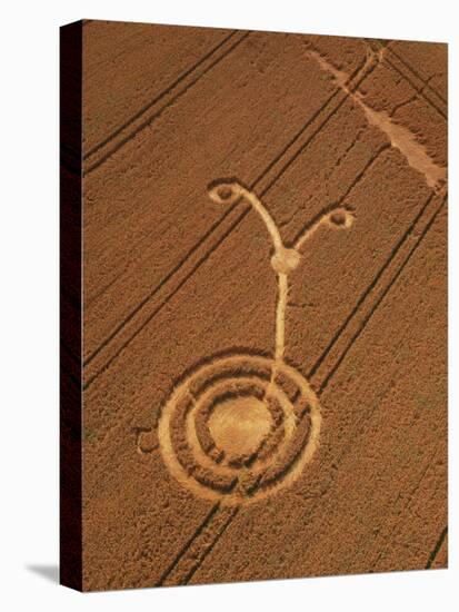 Crop Formation, Cheesefoot, Hampshire-David Parker-Premier Image Canvas