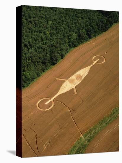 Crop Formation, Lockeridge, Wiltshire-David Parker-Premier Image Canvas