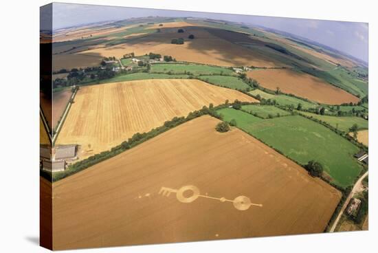 Crop Formation, Near East Kennett, Wiltshire-David Parker-Premier Image Canvas