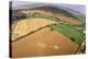 Crop Formation, Near East Kennett, Wiltshire-David Parker-Premier Image Canvas