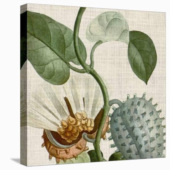 Cropped Turpin Tropicals II-Vision Studio-Stretched Canvas