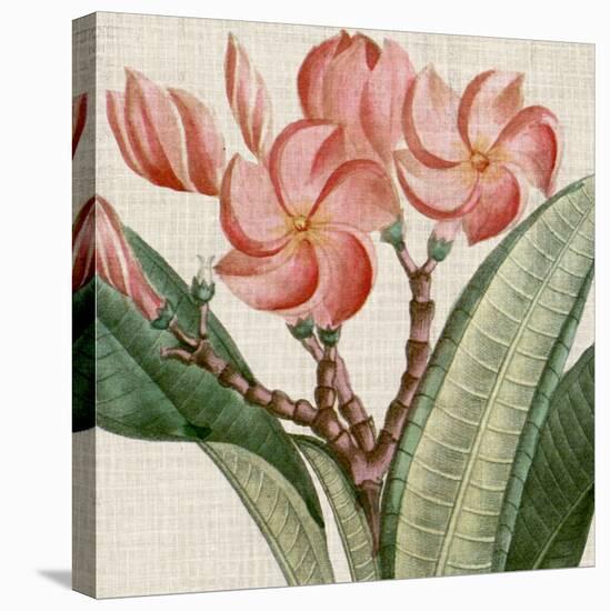 Cropped Turpin Tropicals VII-Vision Studio-Stretched Canvas