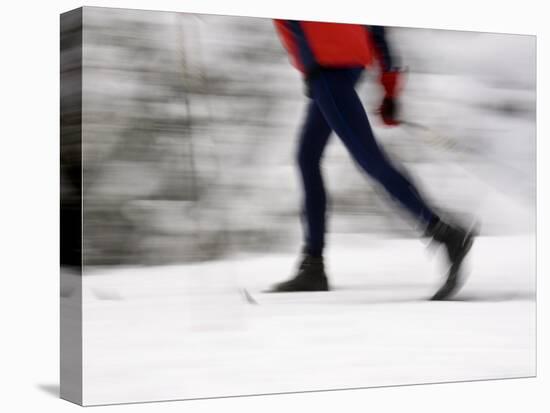 Cross Country Skiing on Spray River Trail, Banff, Alberta-Michele Westmorland-Premier Image Canvas