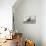 Cross Fox-Alessandro Catta-Premier Image Canvas displayed on a wall