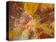 Cross-Section of Petrified Wood-Kevin Schafer-Premier Image Canvas