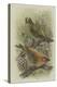 Crossbill, Illustration from 'A History of British Birds' by William Yarrell, c.1905-10-Edward Adrian Wilson-Premier Image Canvas