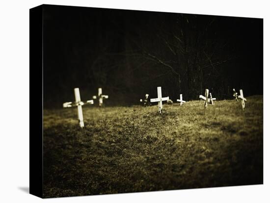 Crosses in a Cemetery-Michael Prince-Premier Image Canvas