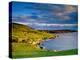 Crow Head at Dursey Sound Near Allihies, Allihies, Ireland-Richard Cummins-Premier Image Canvas