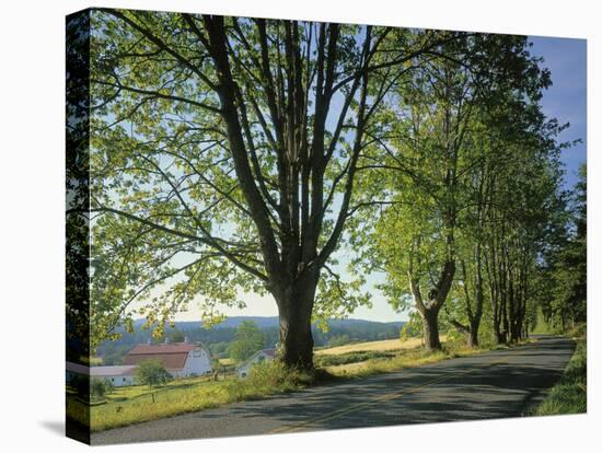 Crow Valley, Orcas Island, Washington, USA-Charles Gurche-Premier Image Canvas