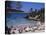 Crowded Beach at Portinatx, Ibiza, Baleares, (Spain)-J Lightfoot-Premier Image Canvas