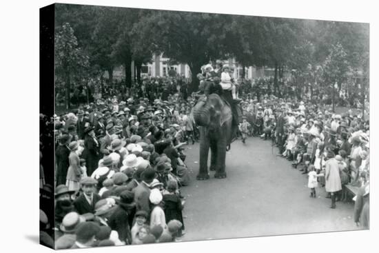 Crowds of Visitors Watch an Elephant Ride at London Zoo, August Bank Holiday,1922-Frederick William Bond-Premier Image Canvas
