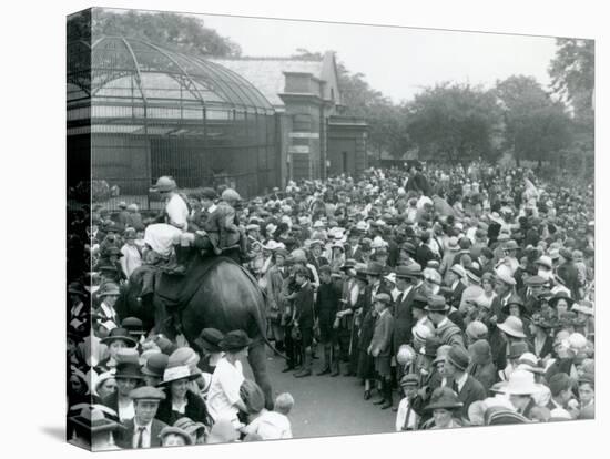 Crowds of Visitors Watch an Elephant Ride at London Zoo, August Bank Holiday, 1922-Frederick William Bond-Premier Image Canvas