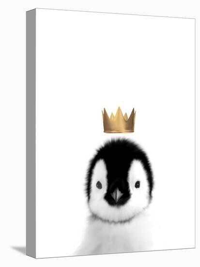 Crown Penguin-Leah Straatsma-Stretched Canvas