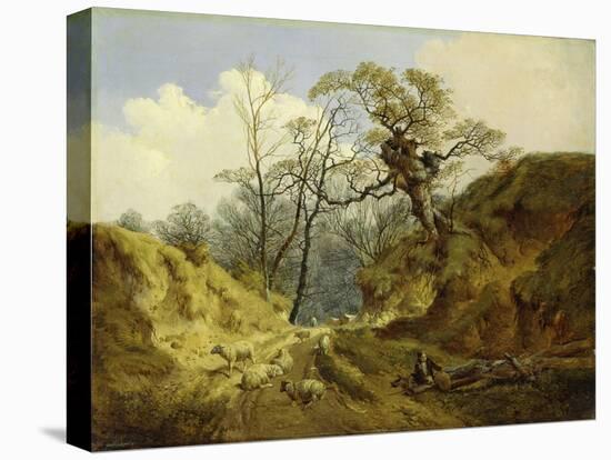 Crown Point, Whitlingham, Near Norwich, 1855-John Berney Ladbrooke-Premier Image Canvas