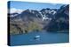 Cruise ship anchoring in the bay of Godthul, South Georgia, Antarctica, Polar Regions-Michael Runkel-Premier Image Canvas