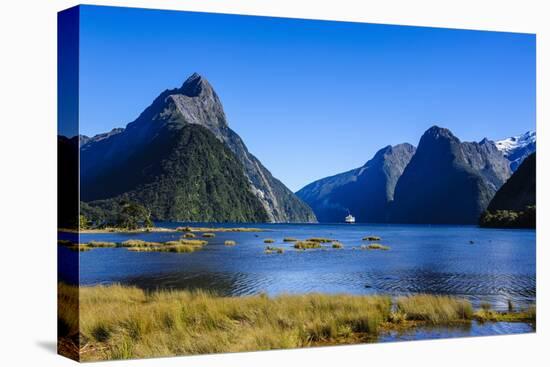 Cruise Ship Passing Through Milford Sound-Michael-Premier Image Canvas